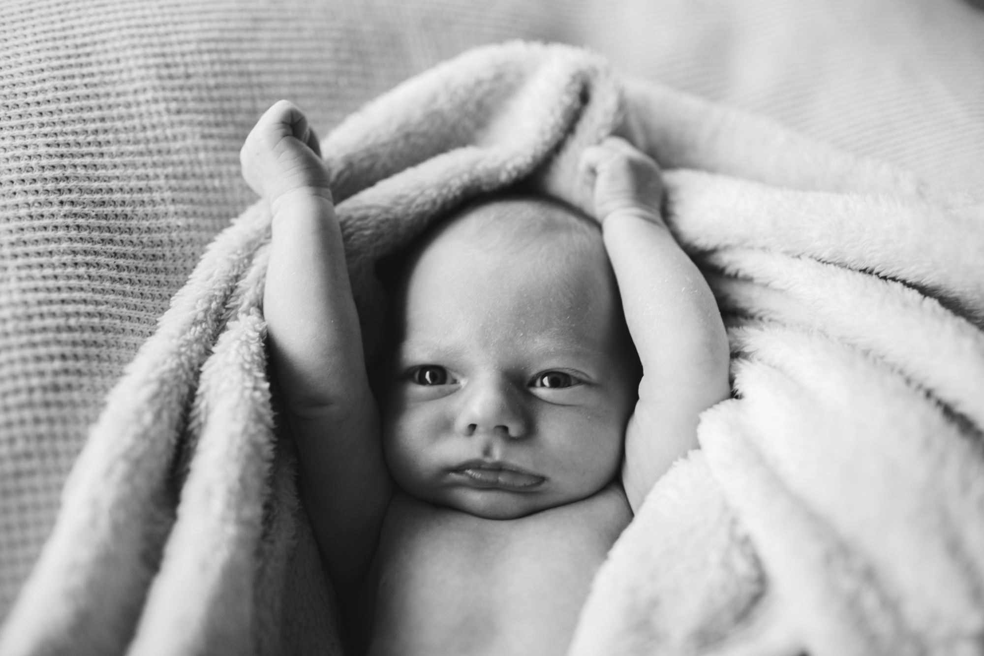 Family Portrait Photographer Brooklyn New York