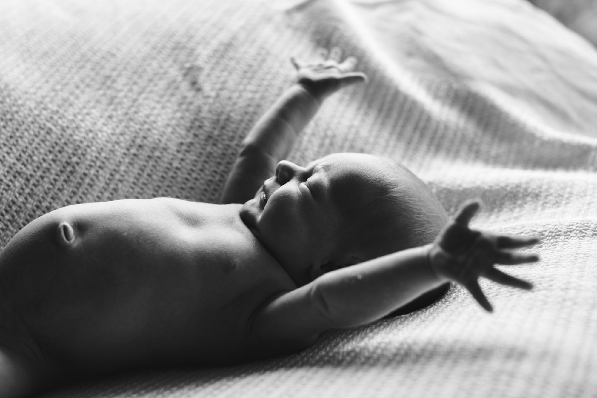 Family Portrait Photographer Brooklyn New York