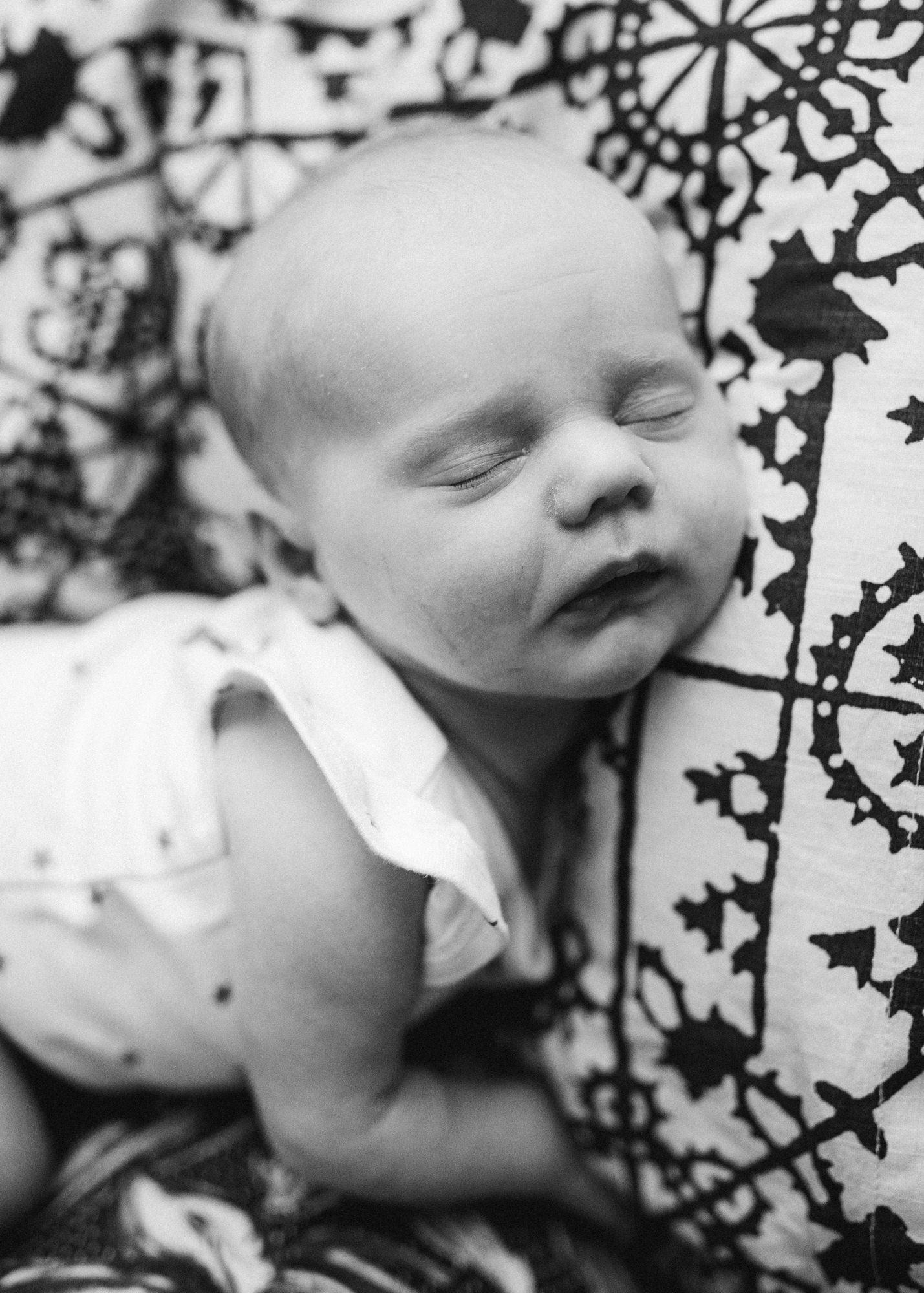 Family Portrait Photographer Brooklyn New York