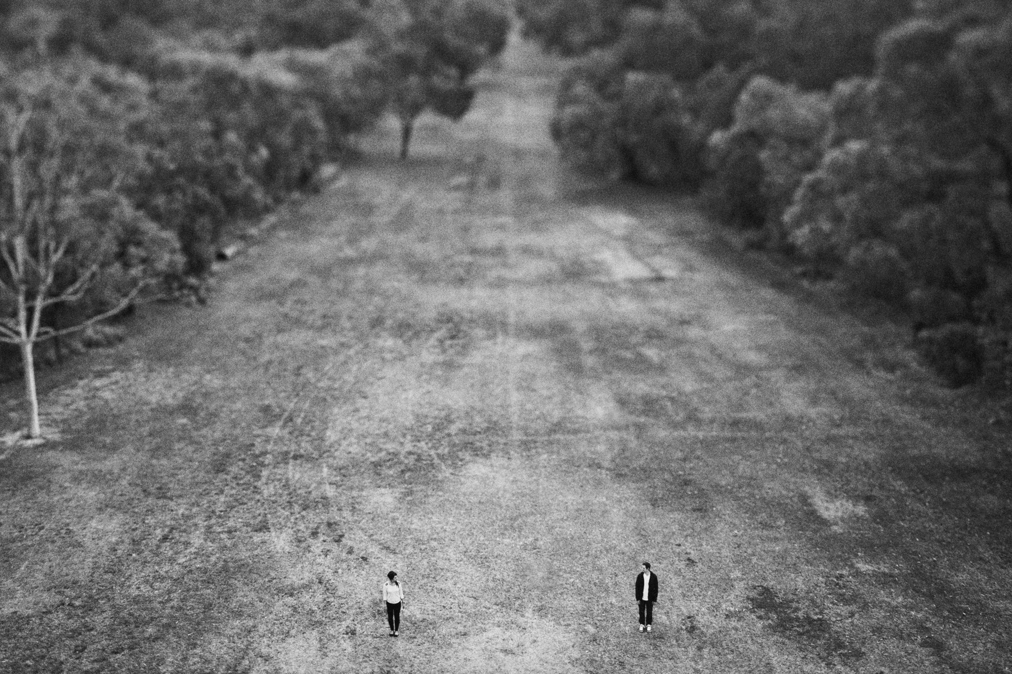 Birds eye view of couple in field