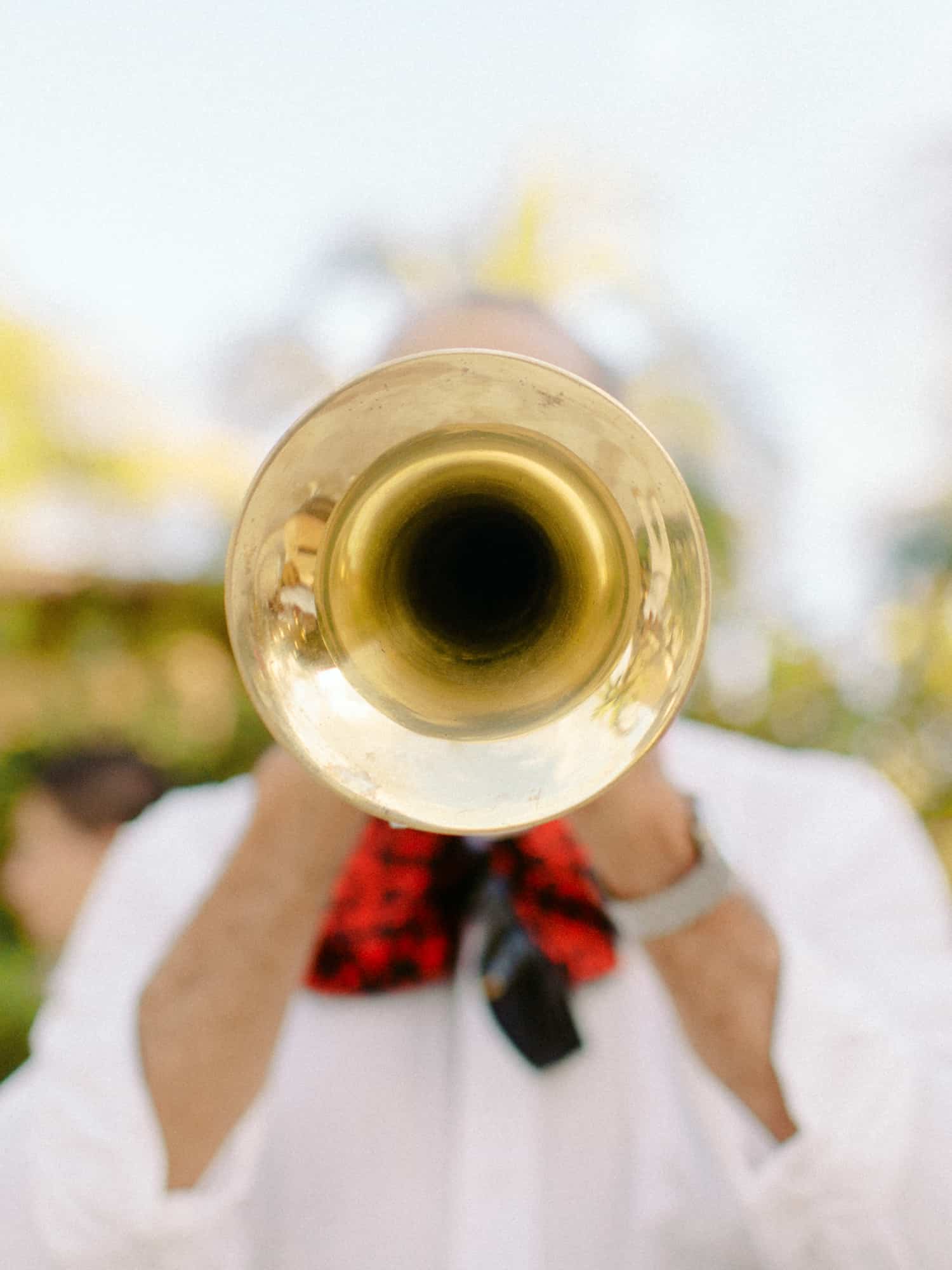 Mariachi player at destination wedding in mexico